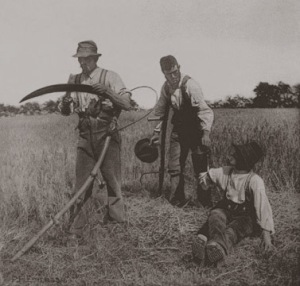 La cosecha de Barley, 1886